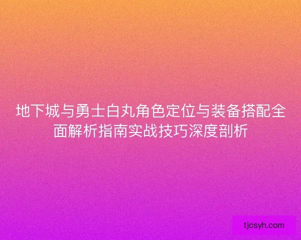 地下城与勇士白丸角色定位与装备搭配全面解析指南实战技巧深度剖析