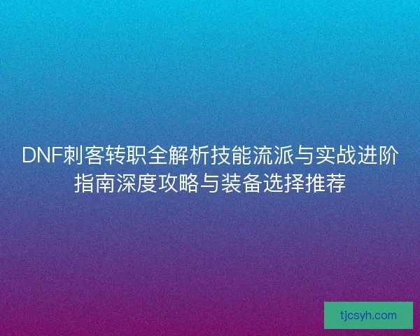 DNF刺客转职全解析技能流派与实战进阶指南深度攻略与装备选择推荐